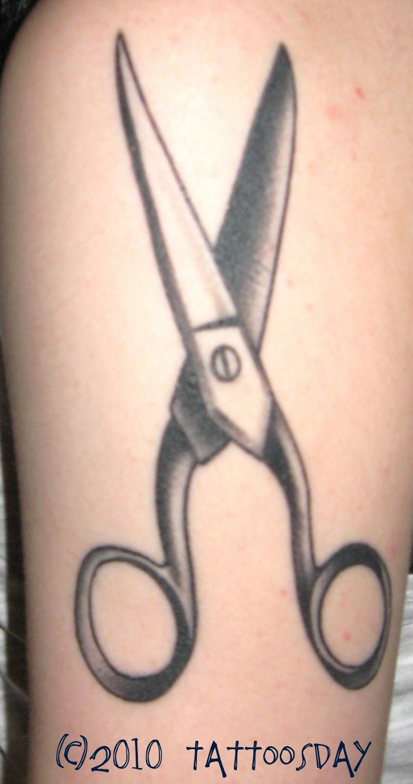 Tattoosday (A Tattoo Blog): Zoe's Tattoo Makes the Cut