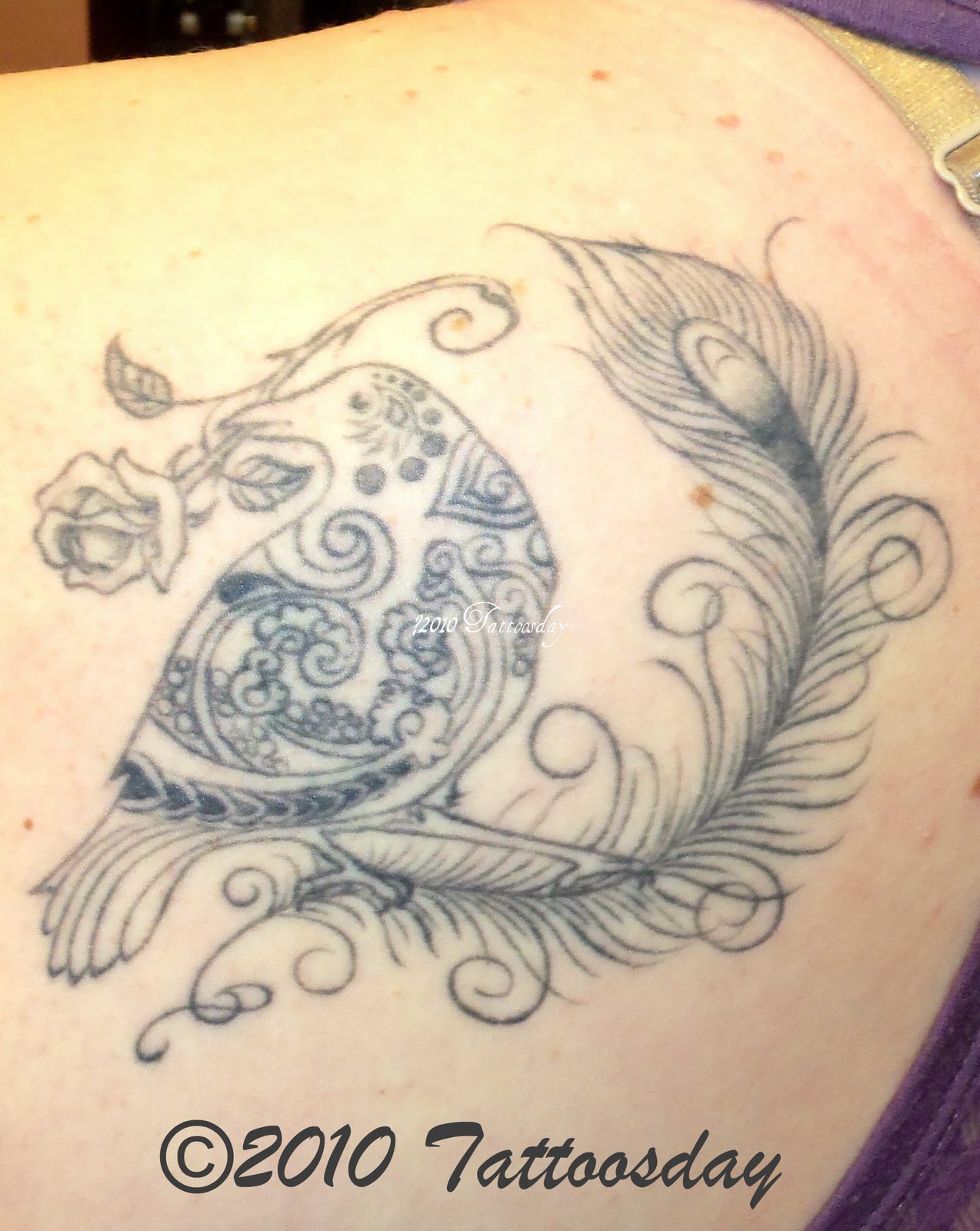 Tattooed Birds