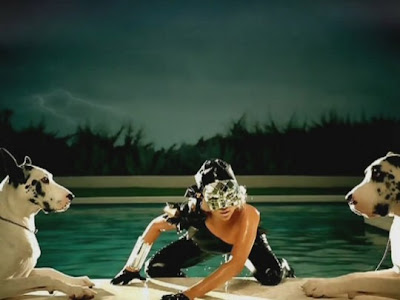 Dogs in lady gaga poker face 32 slot bags wow