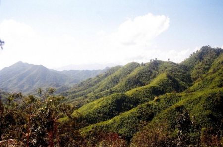 Mizo Hills