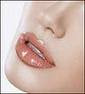bibir