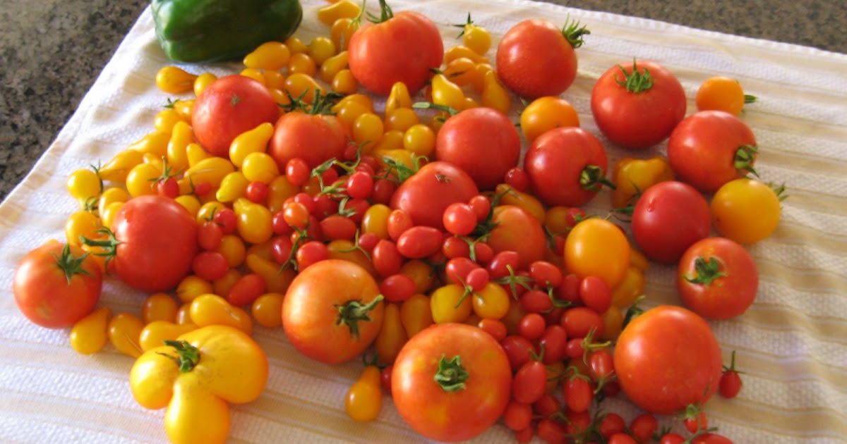 Right at Home { Tomato Stand }