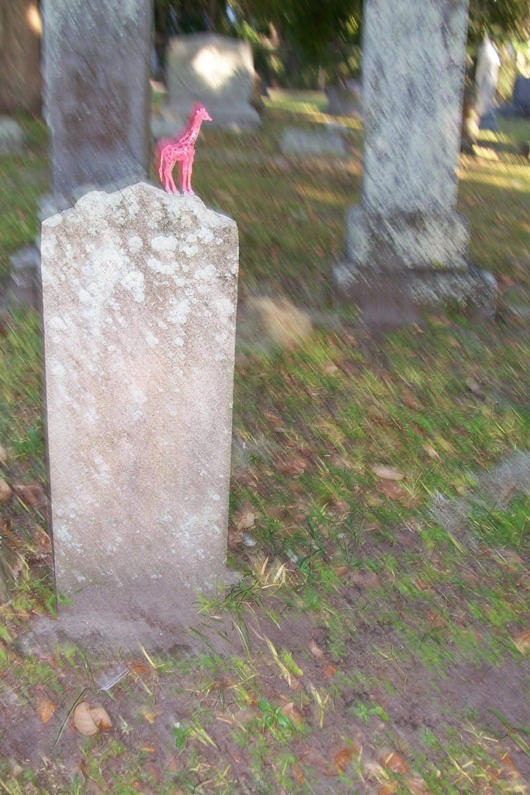 pink grave