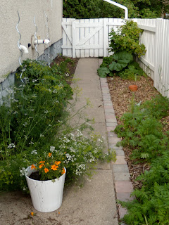 An Avenue Homesteader: Creative Ideas for Small Gardens or Busy Gardeners