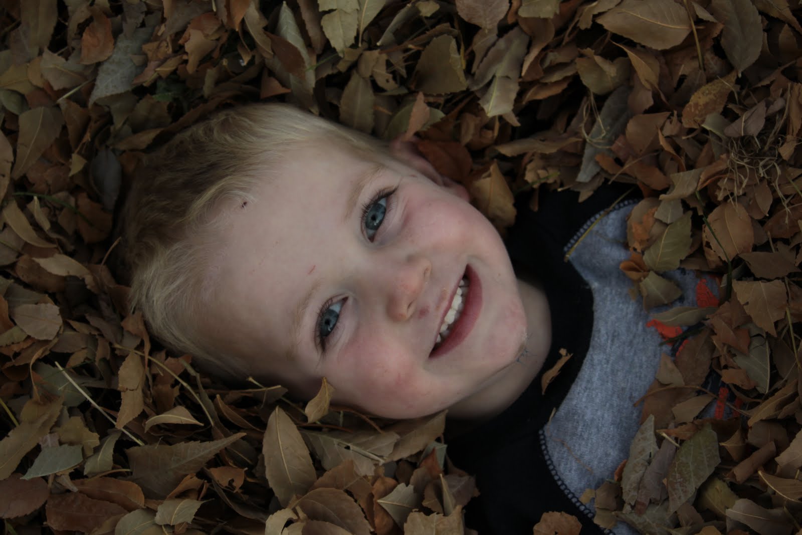 [fall+076.JPG]
