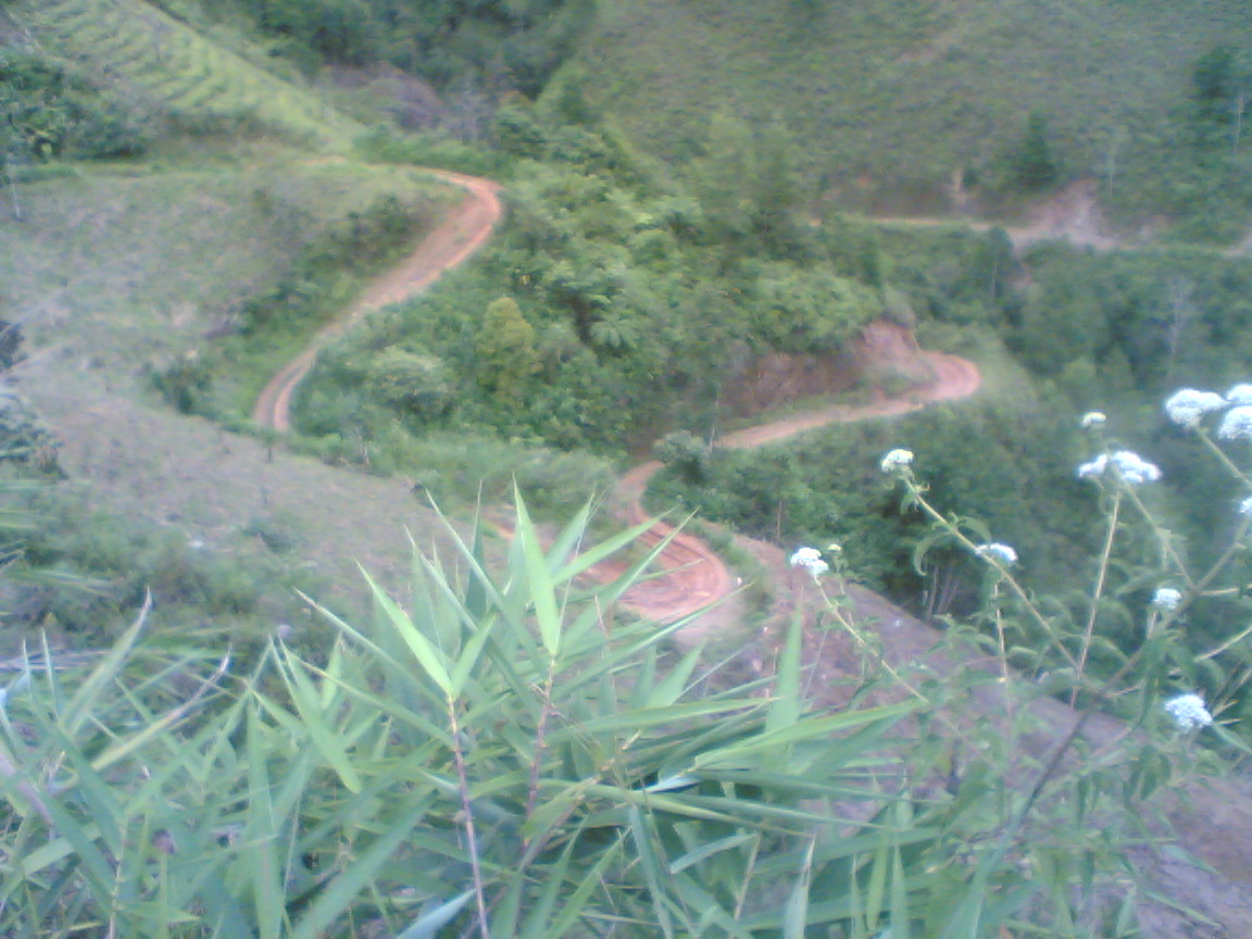 Gunung Latimojong