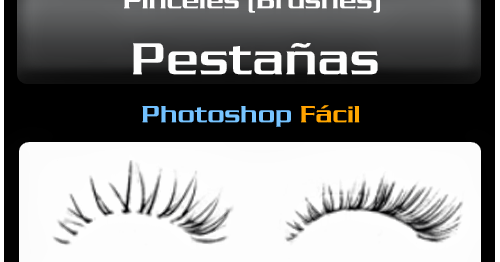 photoshop photoshop for beginners learn the basics of photoshop in under 10 hours plain and simple graphic design photo editing adobe photoshop digital photography
