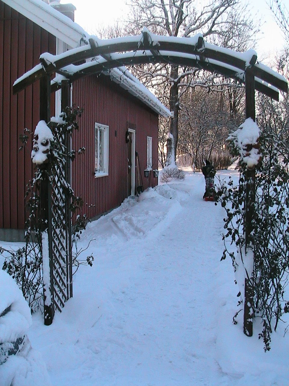 [IMG_0134.JPG]