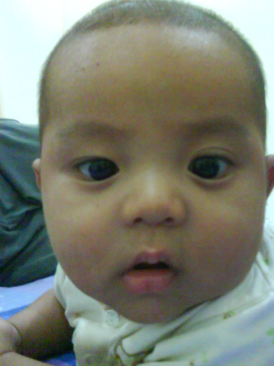 [DSC00702.JPG]