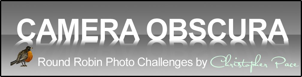 Camera Obscura  Round Robin Photo Challenges