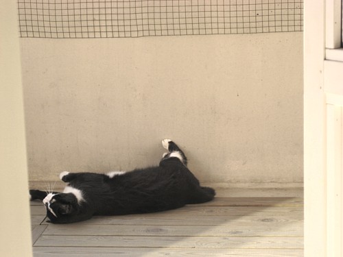 [Anni_nuohoo_partsilla1.jpg]