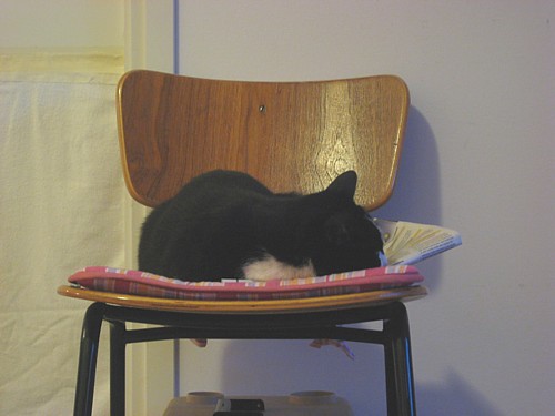 [Anni_nukkuu_tuolilla_lehden_paalla.jpg]