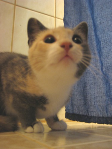 [Sinni_kylpparissa_nuuuh.jpg]