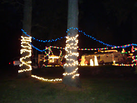 Campers lit up at night