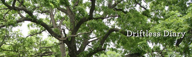 Driftless Diary