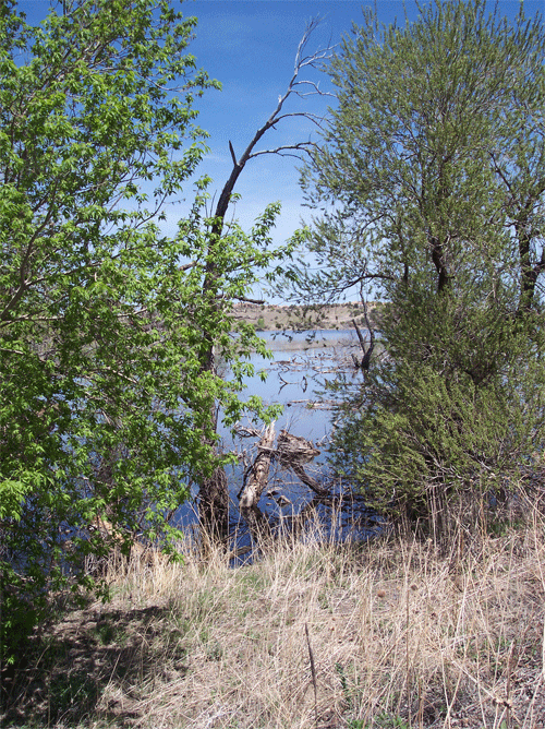 [Watson-Lake.gif]