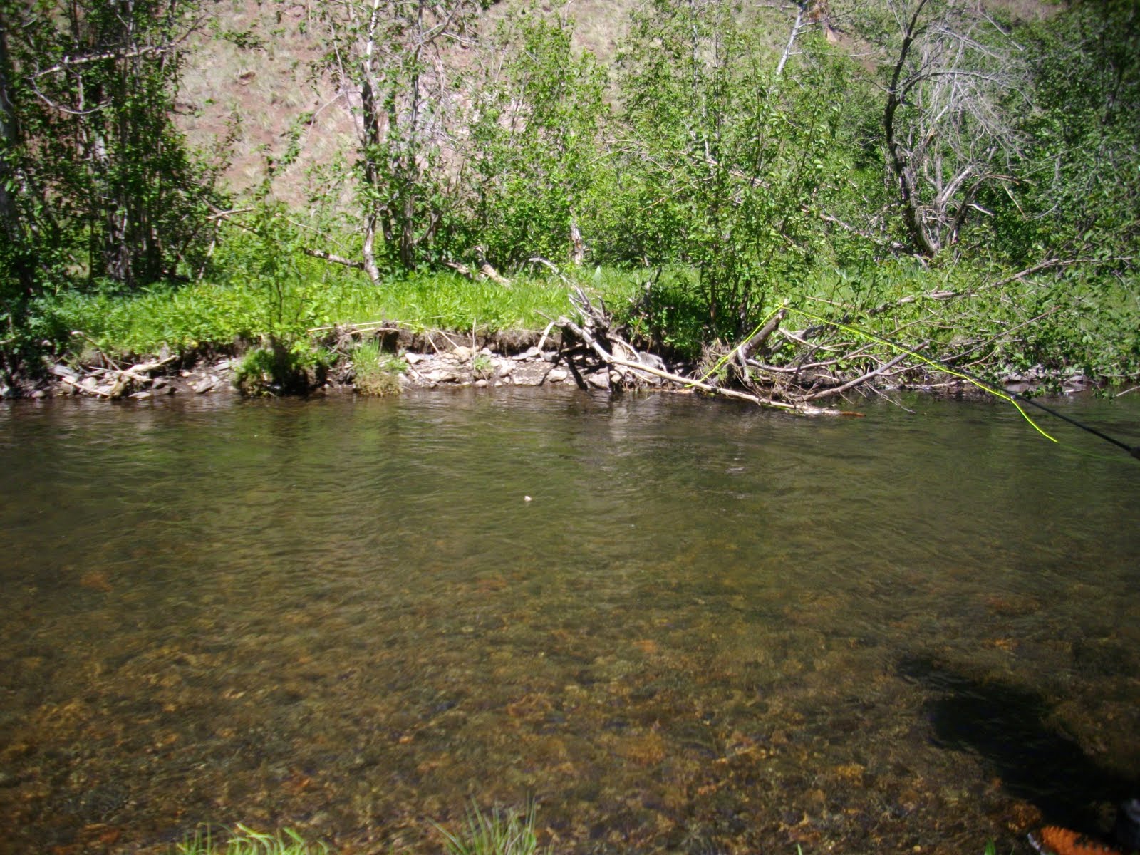 Jay Scott Outdoors North Fork of the White River Fly Fishing