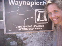 Summit of Wayna Picchu