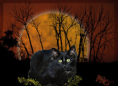 Halloween Cat