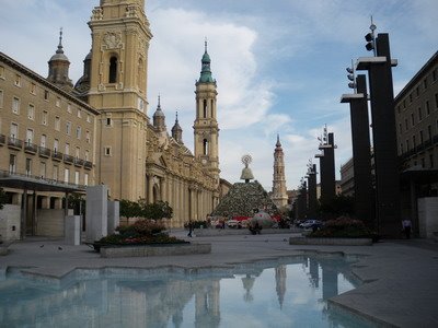 [IMGP0310_resize.JPG]