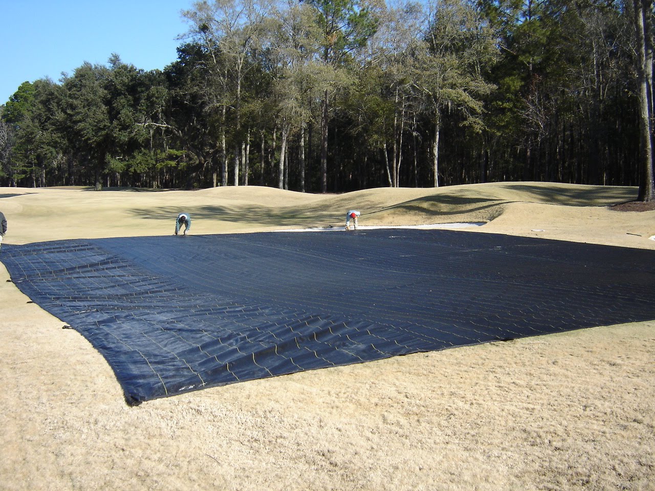 The Ford Plantation Club Agronomy Blog Putting Green Covers Help
