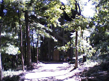 La iglesia de vidrio que se llama "Thornchapel"