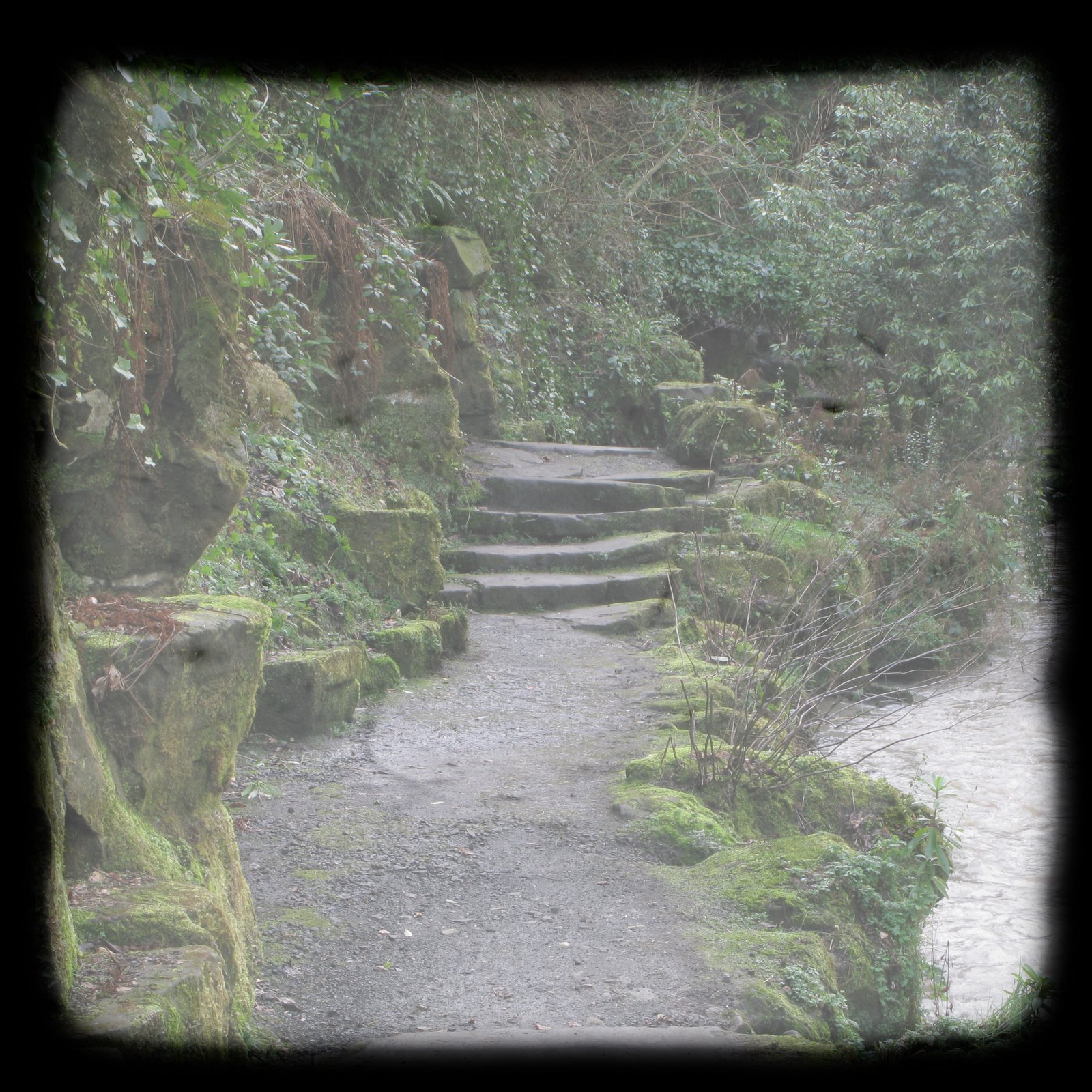 [forgotten+path.jpg]