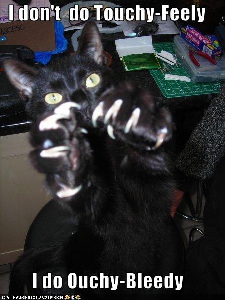 [funny-pictures-cat-threatens-you.jpg]