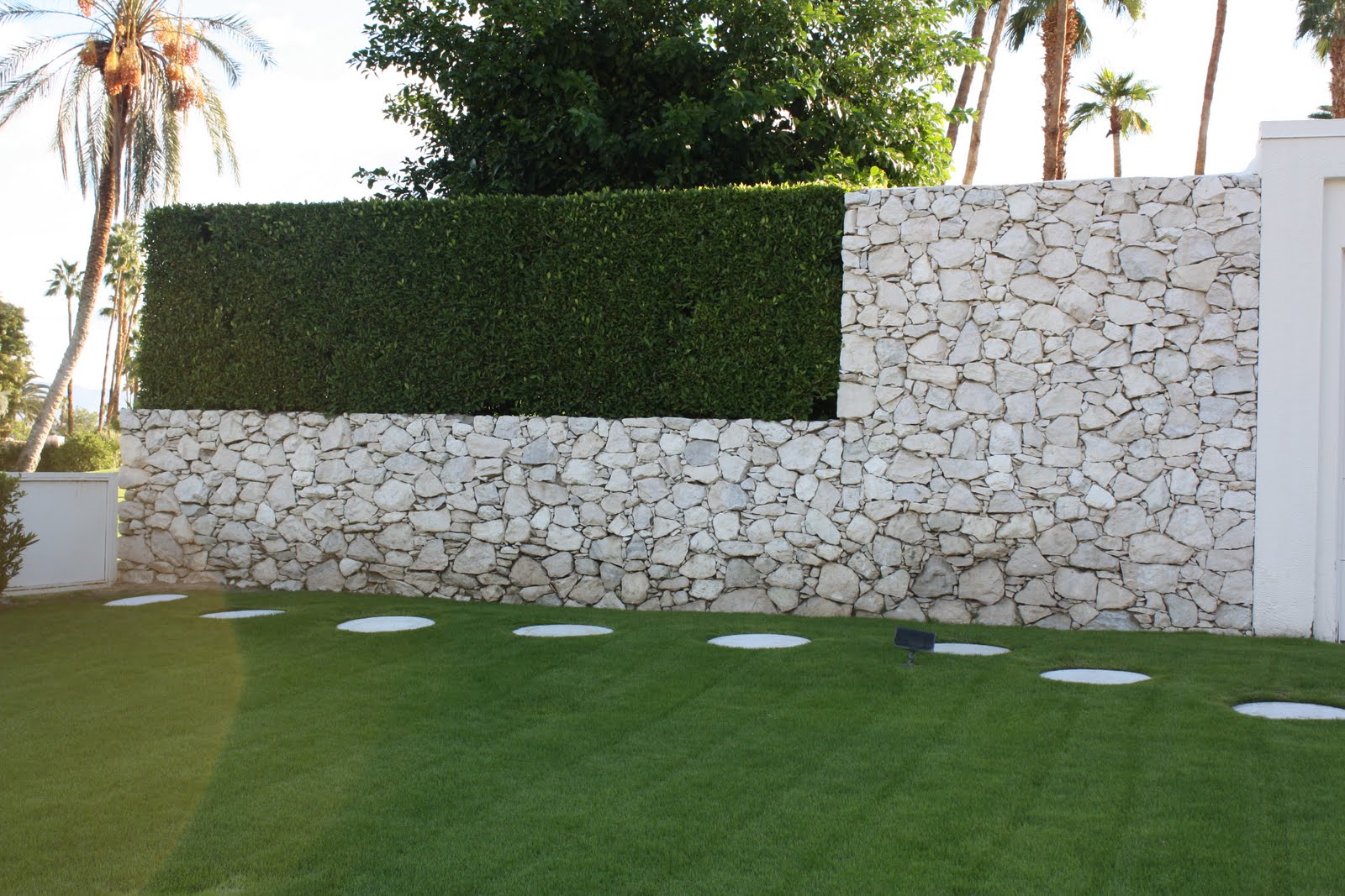 tiny BUBBLES walkabout palm springs