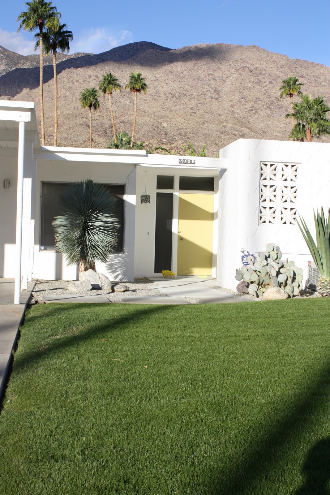 tiny BUBBLES walkabout palm springs