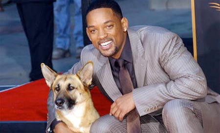 will smith movies list. will smith house. WILL SMITH