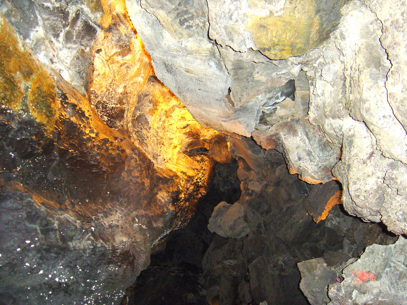 [DSC00016.JPG]
