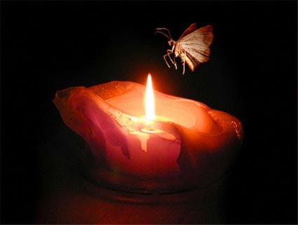 [Image: moth-to-solar-flame.jpg]