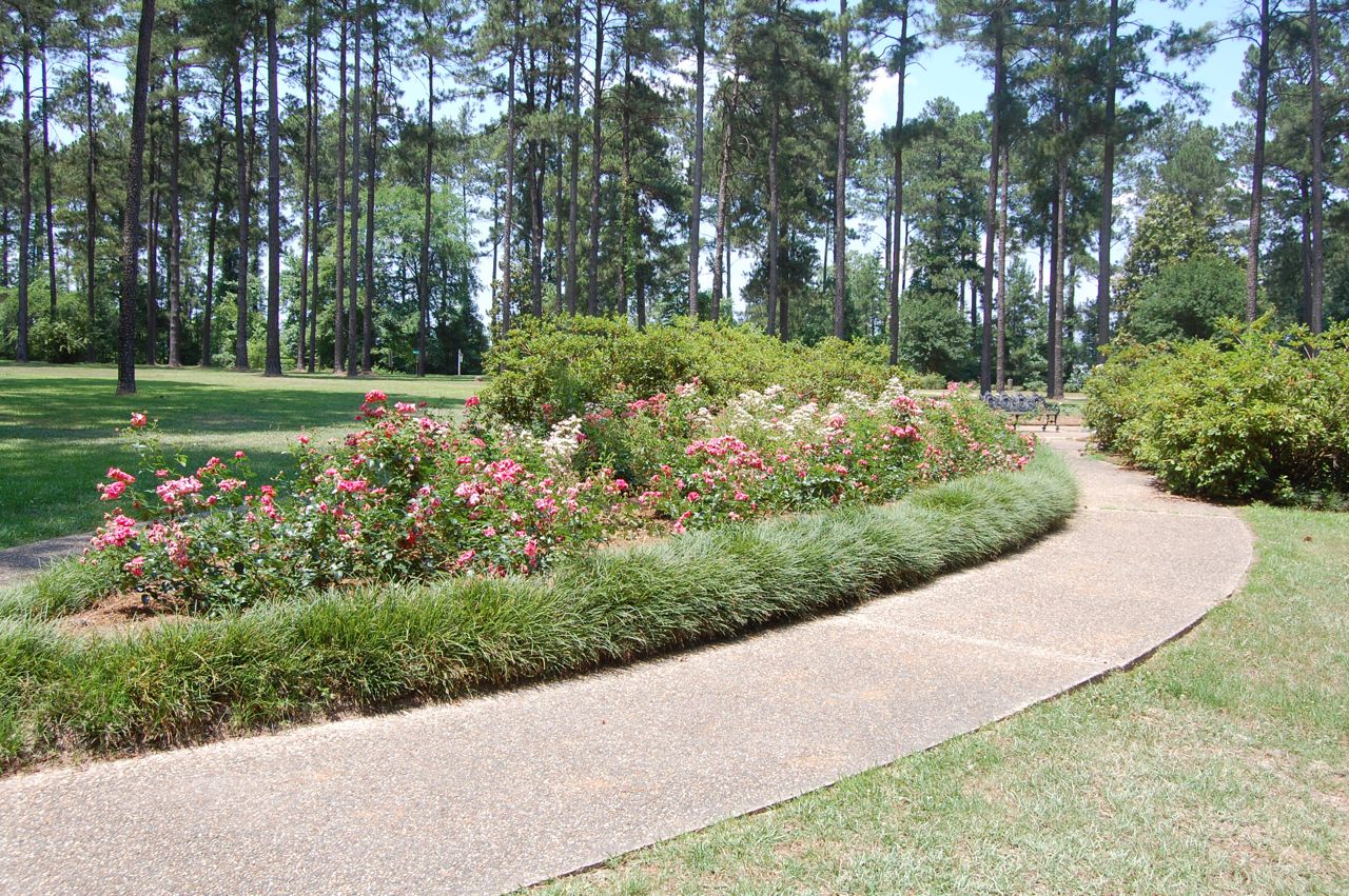 Jeannie's Fairy Rose Louisiana Garden My Visit to The American Rose Garden