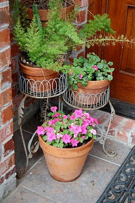 Jeannie's Fairy Rose Louisiana Garden: Pretty Flowers In Pots and Cute