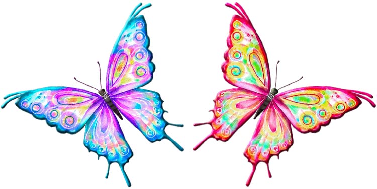 efecto mariposa♥