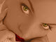 Mi foto