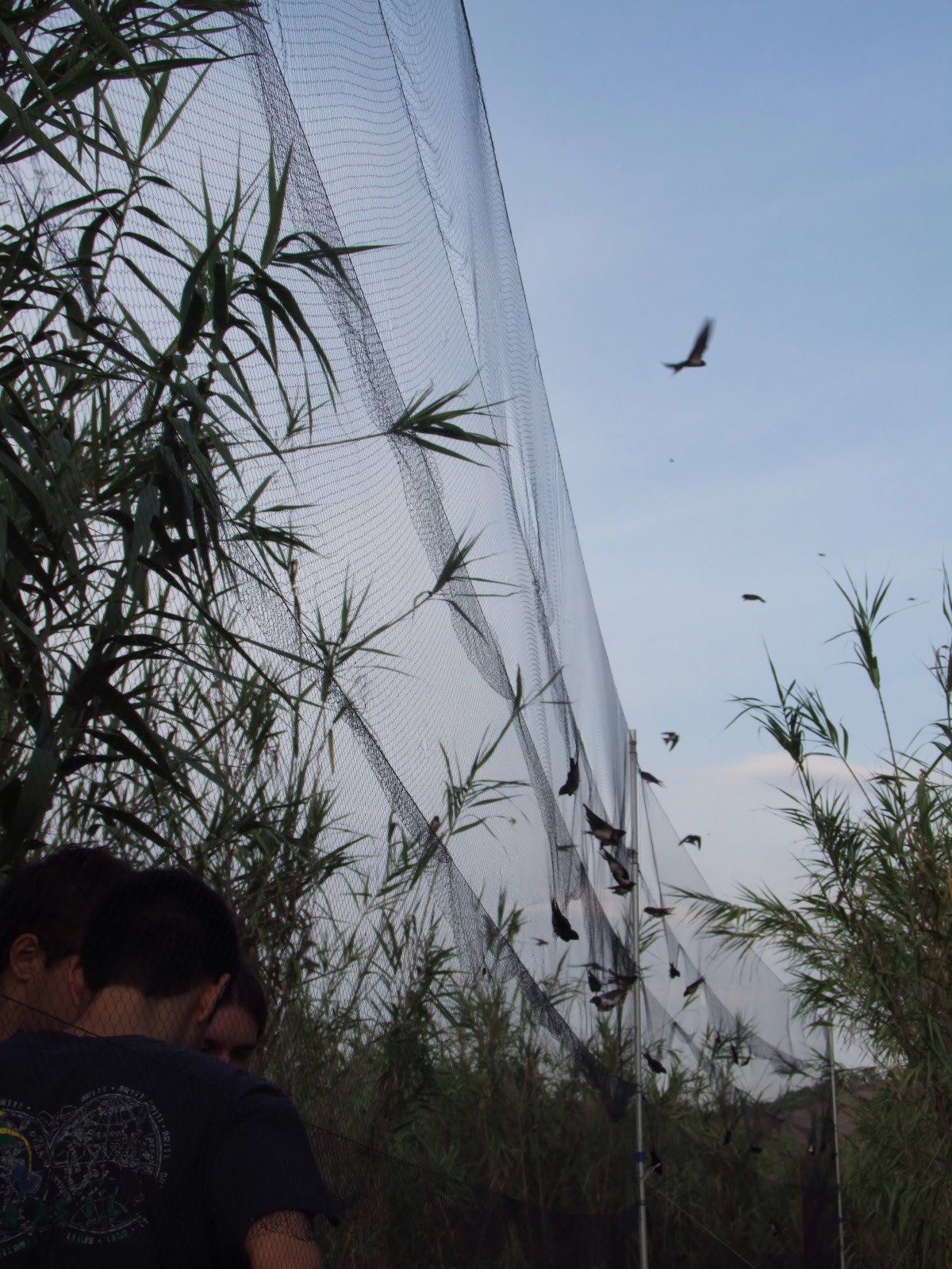 [2009_0930_Contraparada0037.JPG]