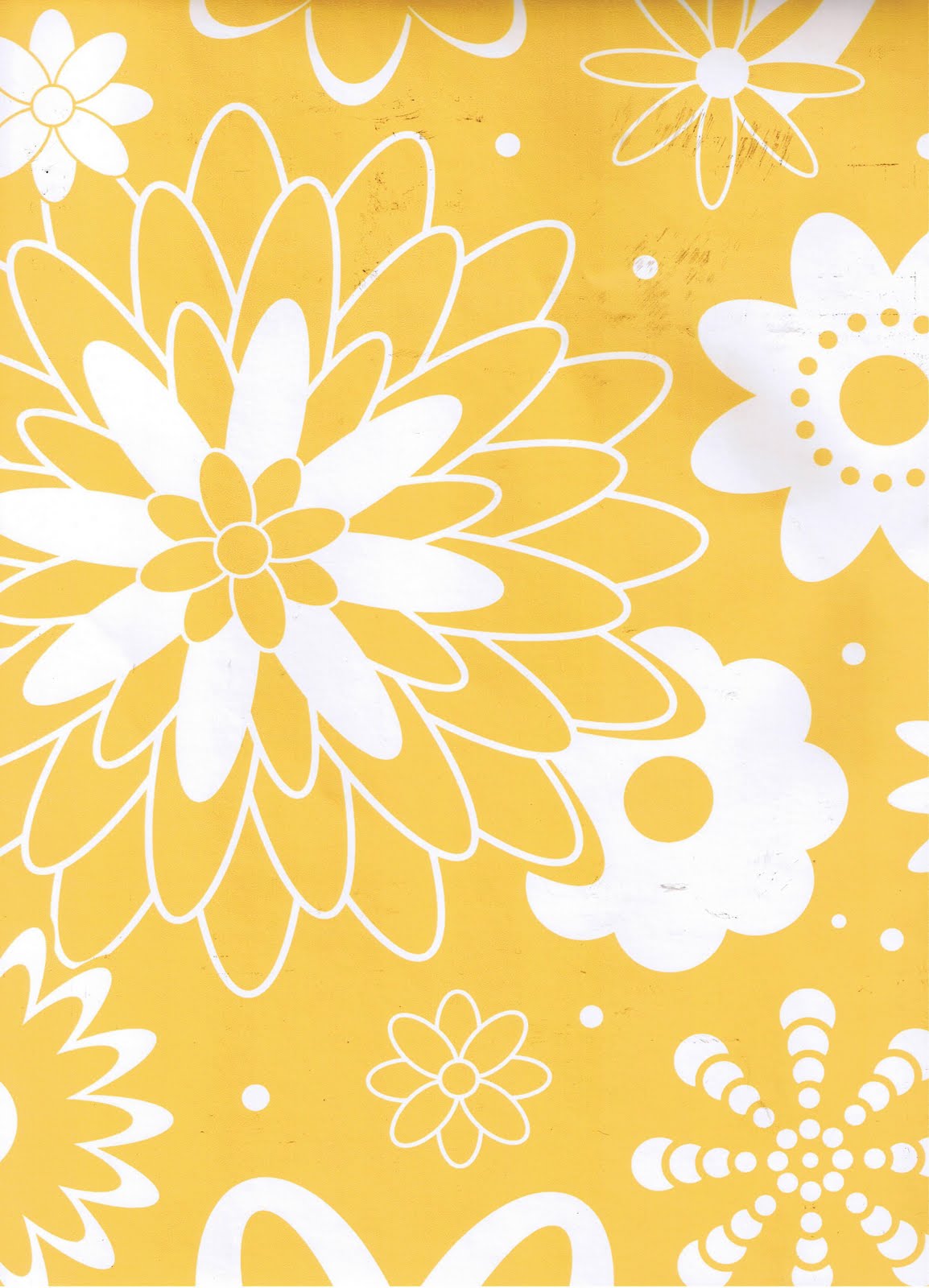 [FIREWORK++YELLOW.JPG]