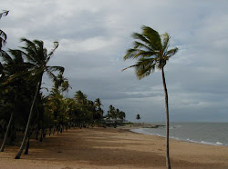 plage de Cayenne