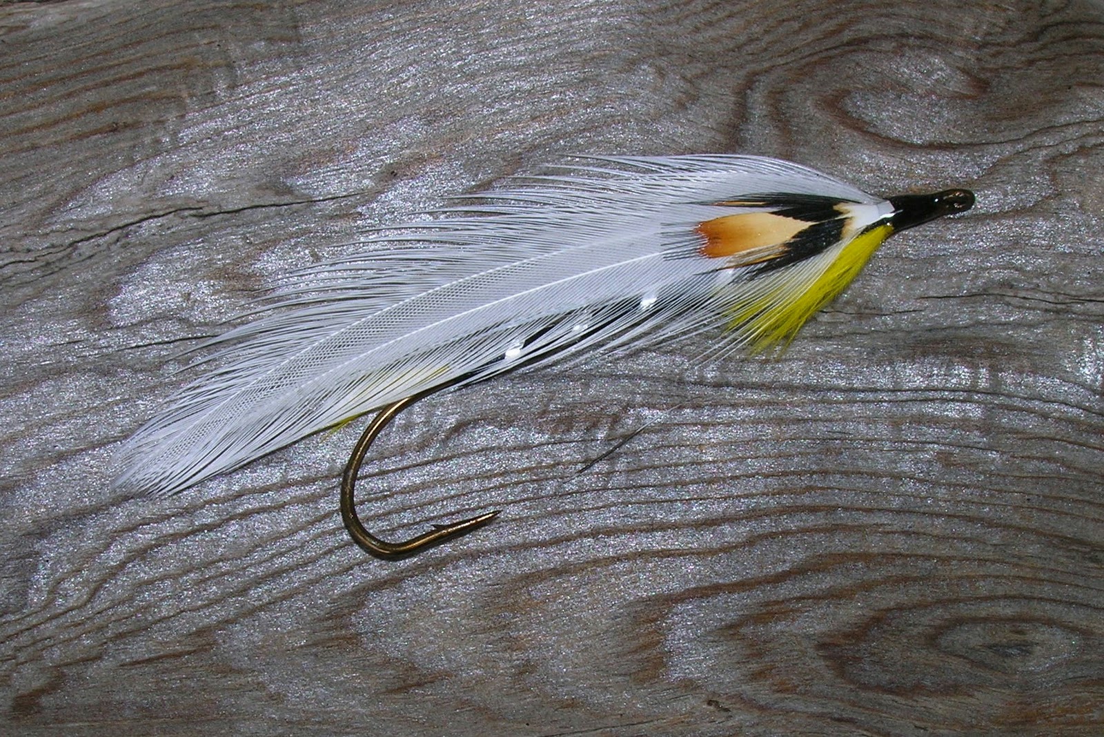 Small Stream Reflections The "Black Ghost"