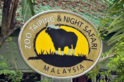 Gambar Seladang