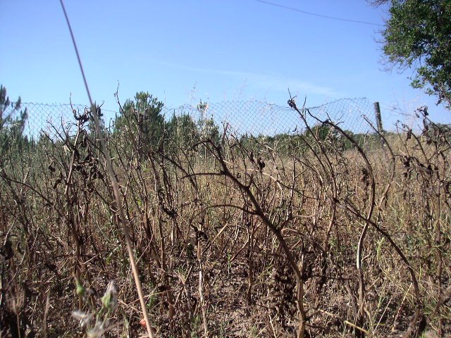 [PICT0078.JPG]