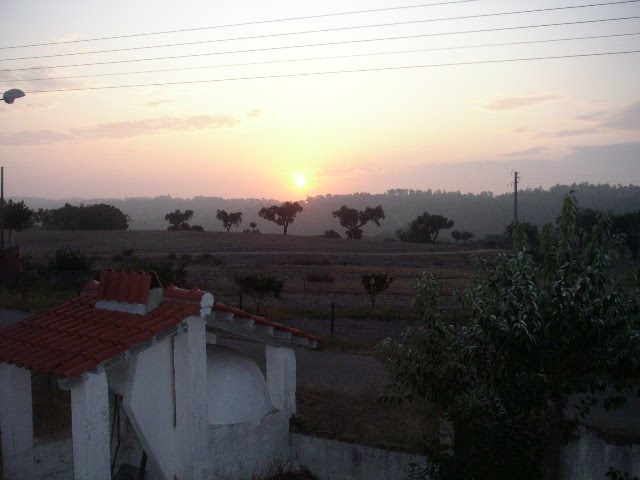 [PICT0014.JPG]