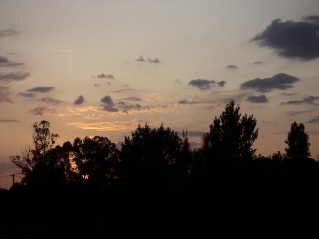 [PICT0006.JPG]