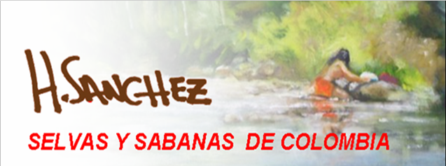 selvasysabanasdecolombia