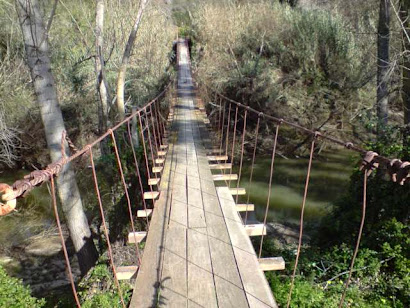 Viajando por el rio