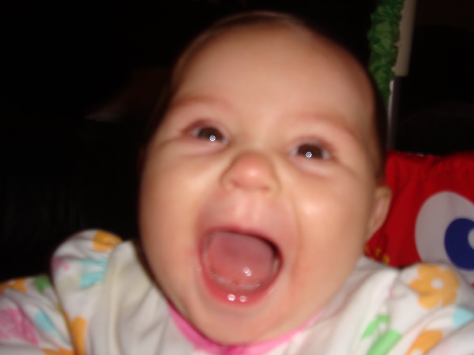 [DSC03254.JPG]
