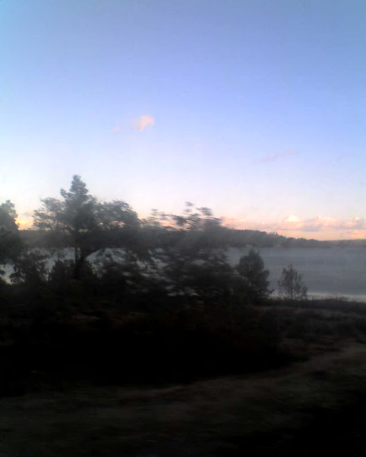 imagem, barragem de montargil, norte alentejano , portugal