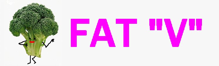 Fat Vegetarian